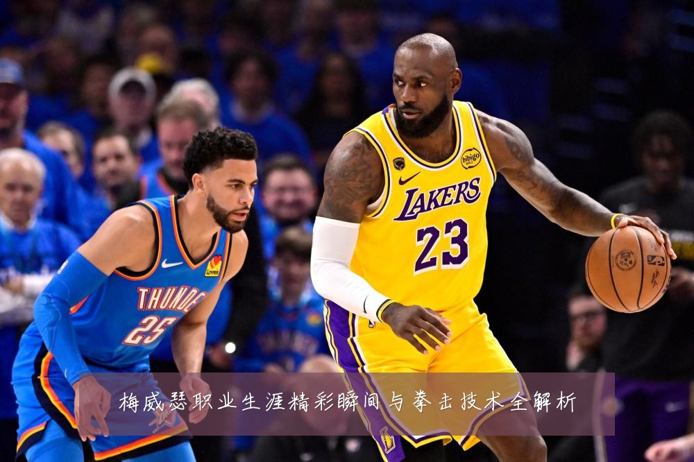 梅威瑟职业生涯精彩瞬间与拳击技术全解析