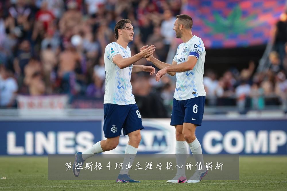 努涅斯格斗职业生涯与核心价值解析
